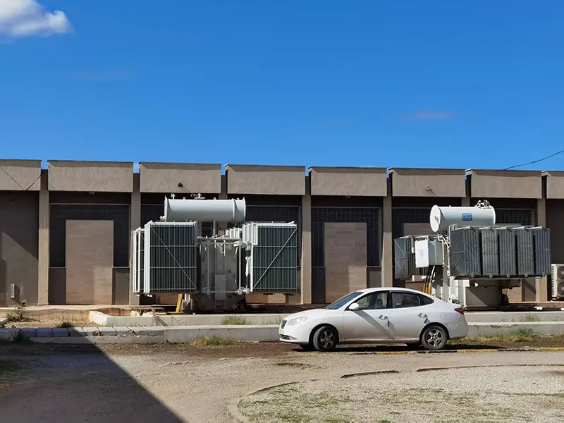 Power Loss Reduction Solution for Libya Government Administrative Building Project Overview