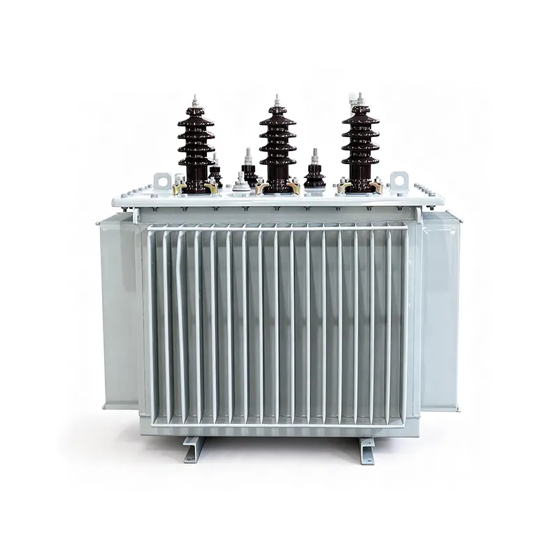 S11-M-250/10 Oil-Immersed Power Transformer