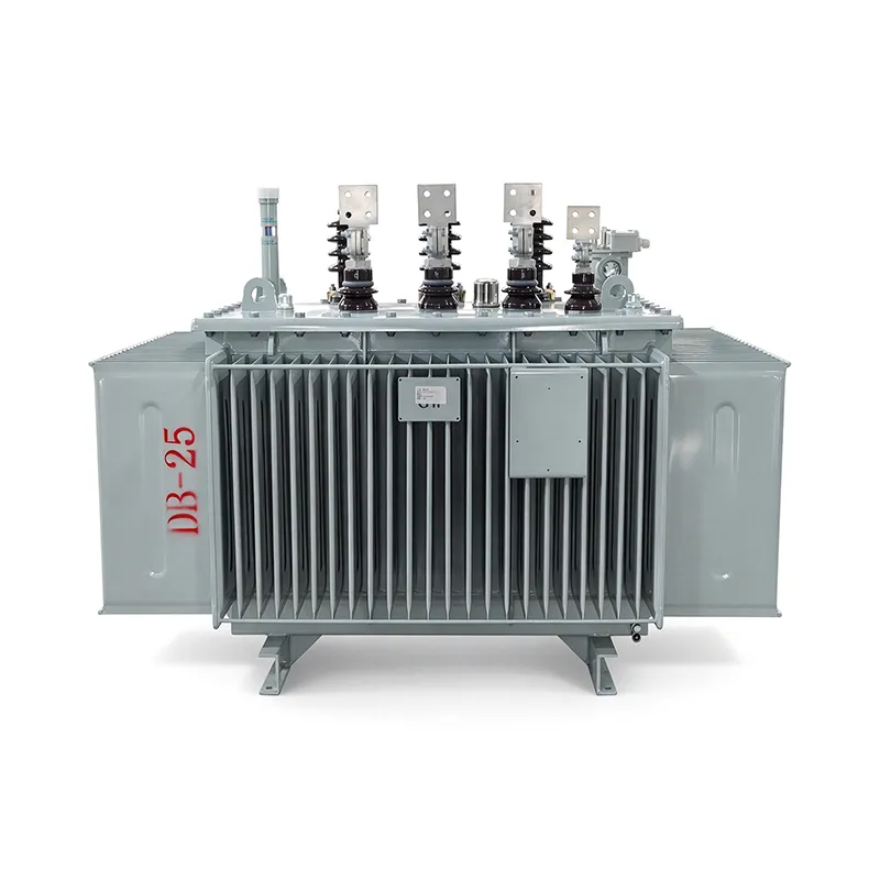 S11-M-1000/10 Copper Winding Oil-Immersed Power Transformer
