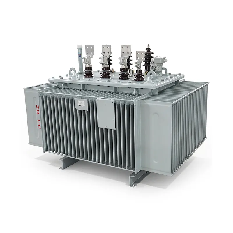 S11-M-1000-10 Copper Winding Oil-Immersed Power Transformer.3 S11-M-1000/10 Copper Winding Oil-Immersed Power Transformer